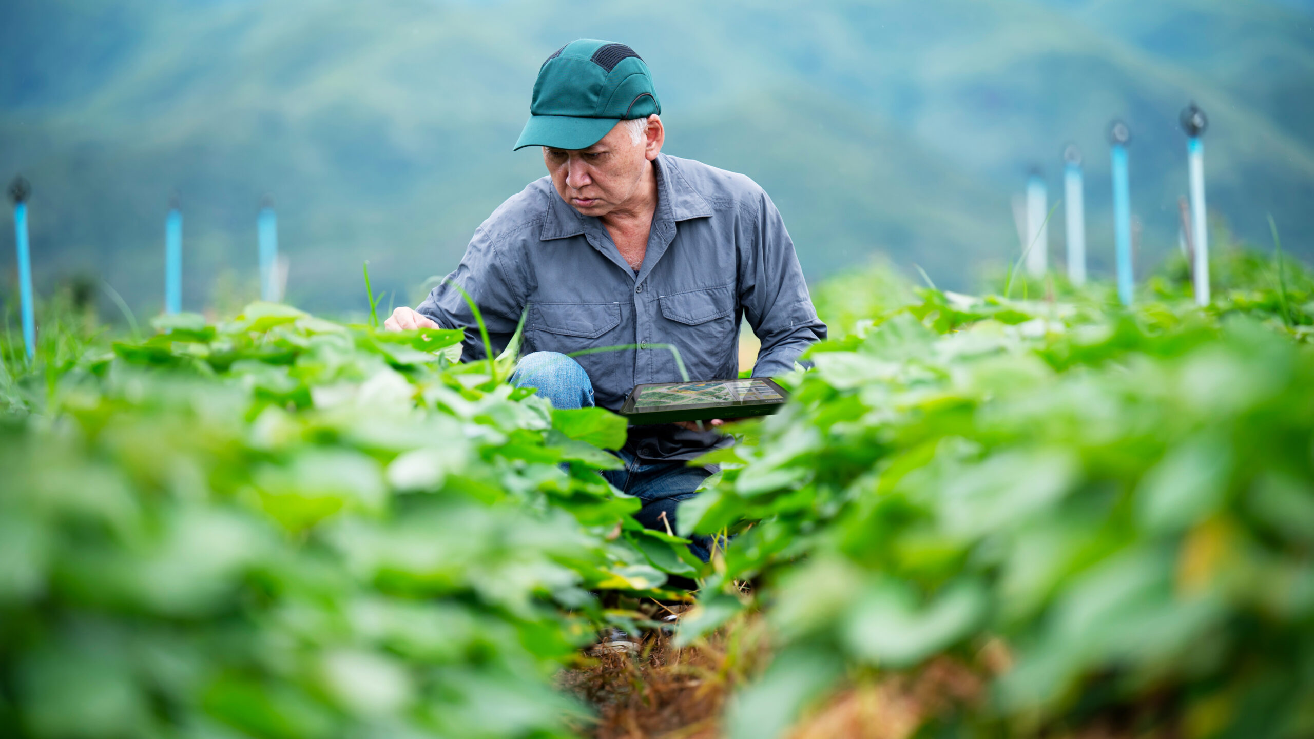 From Farm to Table: How Operational Visibility is Delivering a New Era in Agriculture